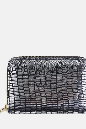 Silberglänzende Decosta...