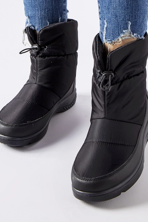 Jensen schwarze isolierte...