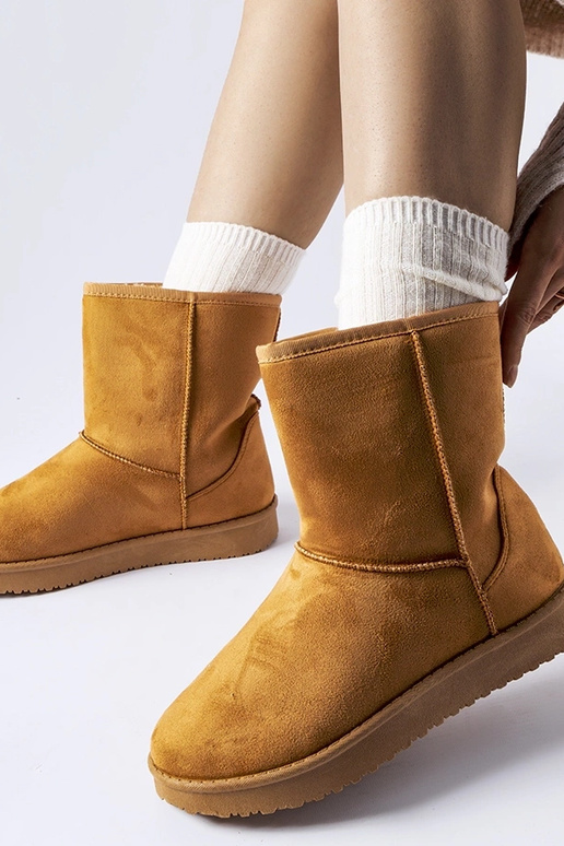 Karamellfarbene isolierte klassische...