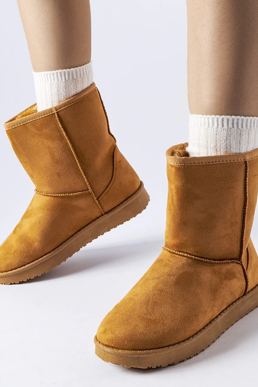 Karamellfarbene isolierte klassische...