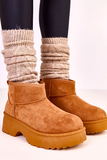 Braune niedrige Schnee...