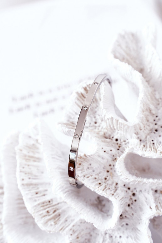 Stahlarmband mit blitzenden Augen Silberfarbe